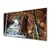 tulup.si Slika na steklu Forest slap narava 120x60 cm 4 obešalnika