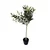 Lilium stablo masline 68 cm 957448