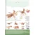GRAINE CREATIVE 3D Puzzle Bogomolka 27 kosov