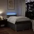 Vidaxl Box spring postelja z vzmetnico taupe 120x200 cm blago