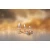 Dream Toys Gleaming Love Plug Matte Gold Medium