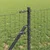 Temeljna zavarena žičana ograda 10 x 0,4 m (Š x V)