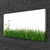 tulup.si Slika na platnu Grass nature rastlin 100x50 cm