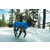 Ruffwear Vert™ Coverall, Blue Pool - XXS