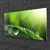 tulup.si Slika na steklu Grass nature dew drops 100x50 cm 2 obešalnika