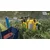 Farming Simulator 25 - Beans & Alpacas Edition (PC)