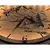 Li-Go 23697/DUB/BAT2 - LED prigušiva sat sa senzorom LED/1xAA, prečnika 32 cm, hrast
