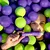 Hello Smile Pasta za zube Voyage Grape Bubblegum, 60g