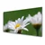 tulup.si Steklena slika Daisy na wall 100x50 cm 4 obešalnika