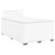 vidaXL Box spring postelja z vzmetnico bel 120x200 cm umetno usnje