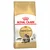 ROYAL CANIN Hrana za mačke Adult Maine Coon 2kg