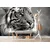 Fototapeta bengalski črno-bel tiger - 196x132