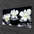 tulup.si Slika na platnu Orchid rastlin stones 100x50 cm