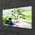 tulup.si Slika na platnu Bamboo orchid zen spa 100x50 cm