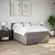 Vidaxl Box spring postelja z vzmetnico taupe 160x200 cm blago