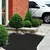 Springos Agrotekstil 1,1x10m AG0040