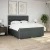 vidaXL Box spring postelja z vzmetnico temno siva 180x200 cm blago