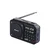 Newmine Bluetooth radio N123, Crni