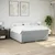 Vidaxl Box spring postelja z vzmetnico svetlo siva 200x200 cm blago