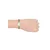 Skagen Signature Slim SKW2693