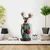Aberto Design Novogodišnja dekoracija Christmas Deer, Zelena