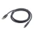 Cablexpert USB kabl USB 2.0 USB A USB C Crno