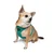 Paws & Whiskers Am za pse Air-Mesh, Svetlozeleni