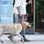 Dogness Povodac za pse, XL, Crveni