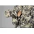 Mountain Hunter Expedition HWS Down Mittens