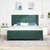 Vidaxl LED Box Spring Postelja Temno zelena 180 x 200 cm Žamet