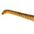 Safari Patagotitan dinozaver