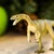 Safari Masiakasaurus dinozaver