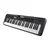 CASIO CT-S300