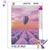 shumee Ob_L_127 Diamantna slika 30x40 - Narava, Balon nad resjem