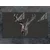 shumee Steklena zaščitna plošča za štedilnik 2x45x52 Deer
