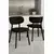 HANAH HOME Set stolica (2 dela) Toldy Black
