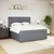 Vidaxl Box spring postelja z vzmetnico temno siva 180x200 cm žamet