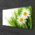 tulup.si Slika na platnu Daisy flower narava 100x50 cm