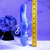 Evolved Butterfly Dreams Blue