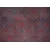 Conceptum Hypnose tepih Dorian -AL 57, 210x310 cm, sivo-crvena