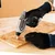 Cecotec Cecotec cecoraptor Perfect Fixed Cecotec Gun 360 X-Treme Sin kabel, (21090786)