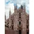 Fototapeta Milanska katedrala - 196x270