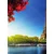 Fototapeta jesenski Pariz - 196x270