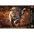 Trefl Puzzle Premium Plus Photo Odyssey: Wild leopard 1000 kosov