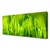 tulup.si Slika na platnu Green grass dew drops 120x60 cm