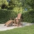 shumee Vrtna miza Adirondack, bela, 38x38x46 cm, HDPE
