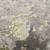 Preproga 170x120 cm Aurora - Asiatic Carpets