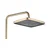 Komplet za prhanje PREMIUM REA JOE Brush Gold