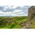 Fototapeta Narodni park Thingvellir - 294x270