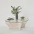 Hanah Home Klub sto Amphora 92x36x92cm Beli